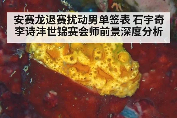 安赛龙退赛扰动男单签表 石宇奇李诗沣世锦赛会师前景深度分析